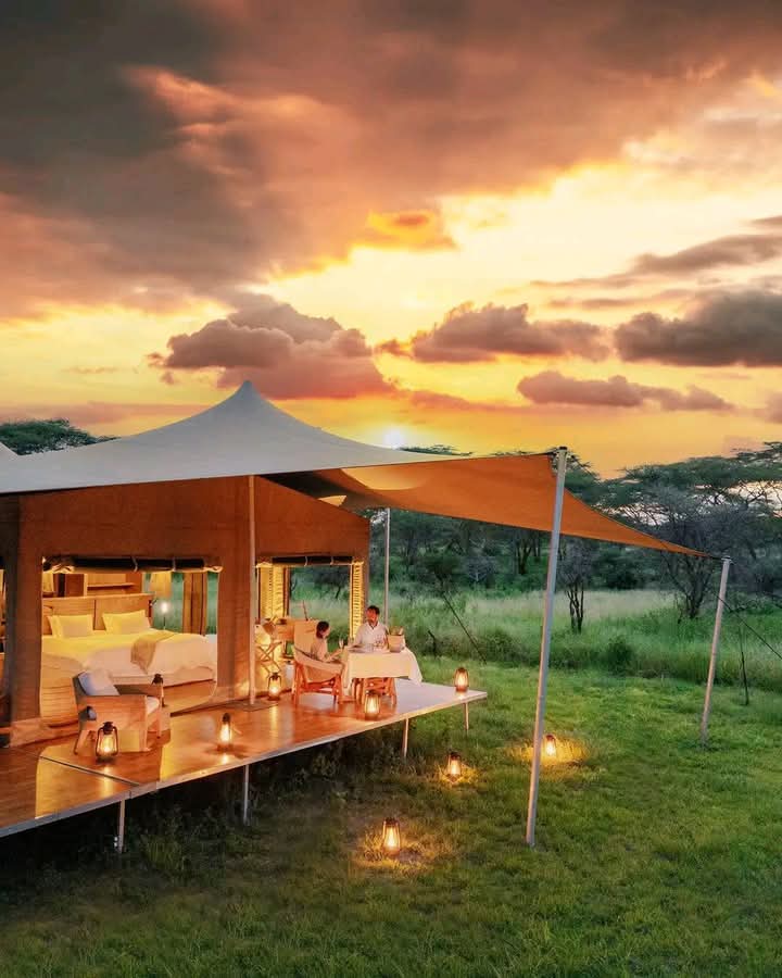 Luxury safari tent