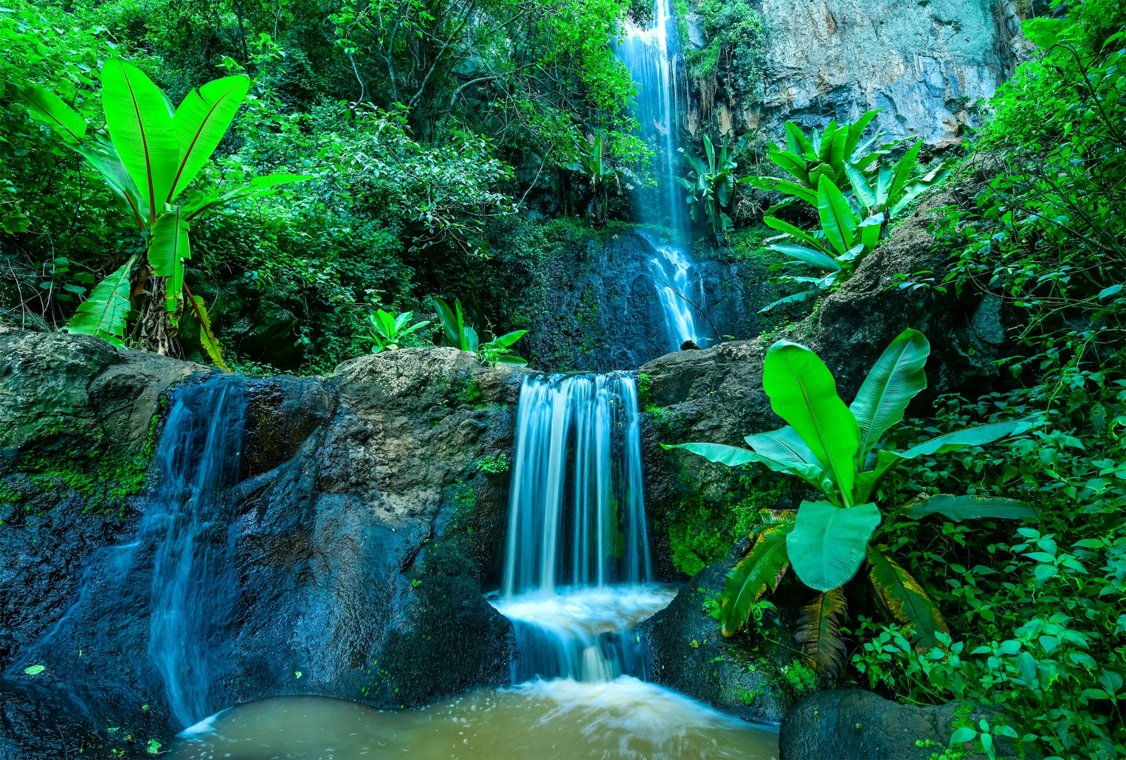 Tropical waterfall