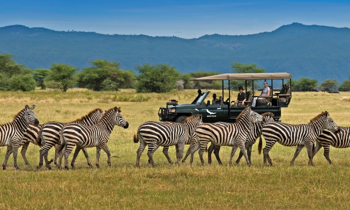 Game Drive - Serengeti National Park