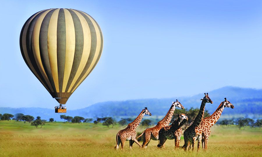 Hot Air Balloon Safari