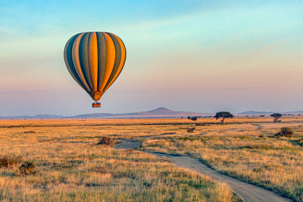 Hot air balloon over Serengeti at sunrise