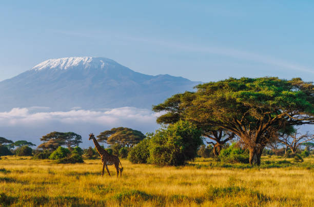 Mount Kilimanjaro