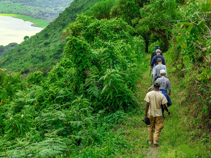 Walking Safari - Empakaai Crater
