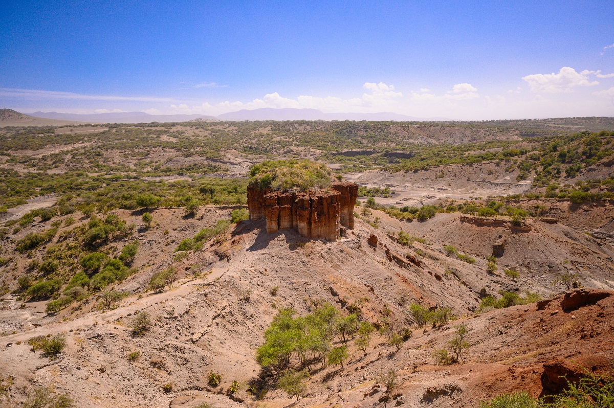 Olduvai Gorge - archaeological site and birthplace of humanity